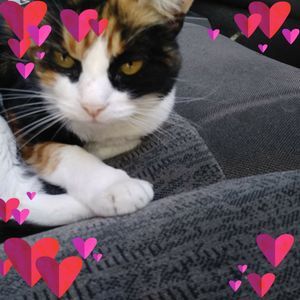 Meet your Posher, Sandra